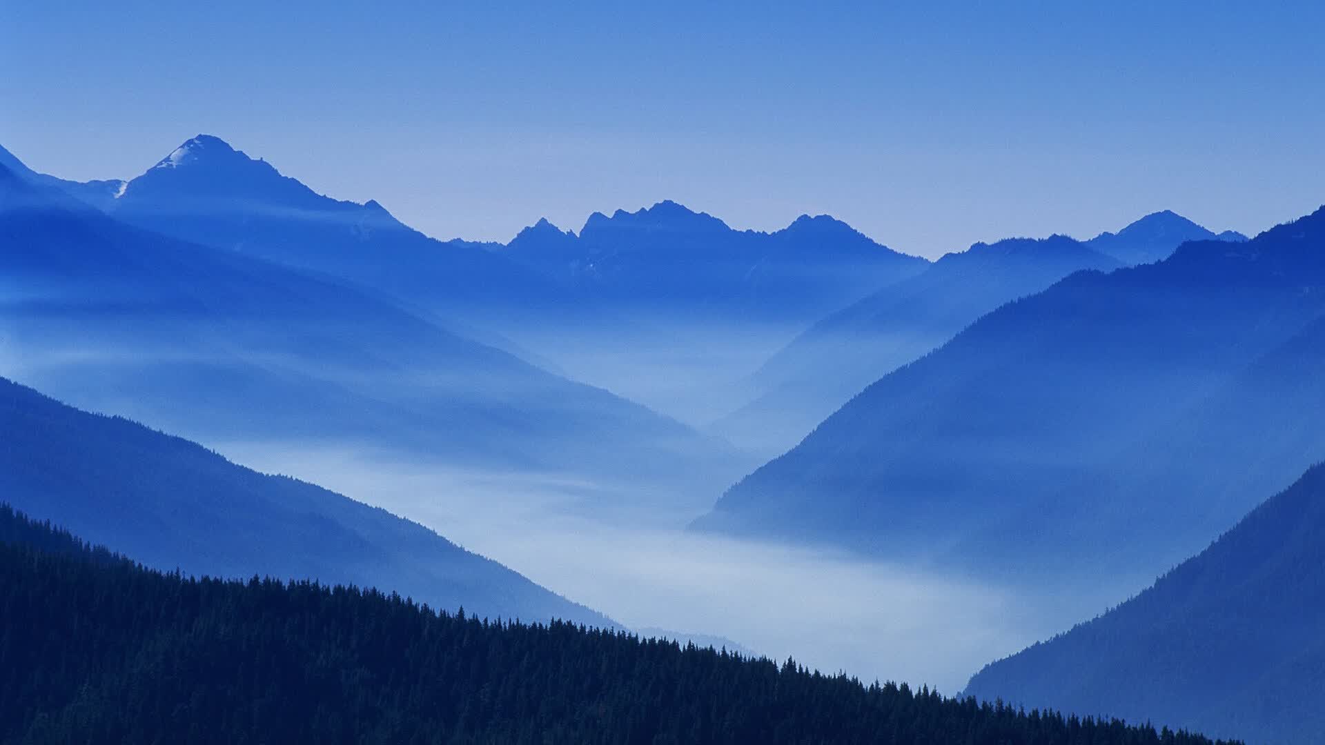 世界登山青年导师长期追踪研究第71期数据摘要发布,世界登山运动员排名